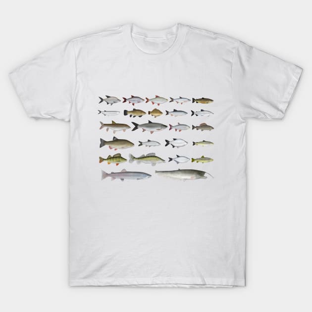 European Freshwater Fish Group T-Shirt by FishFolkArt